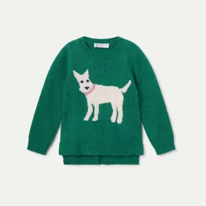 Sweater Dog
