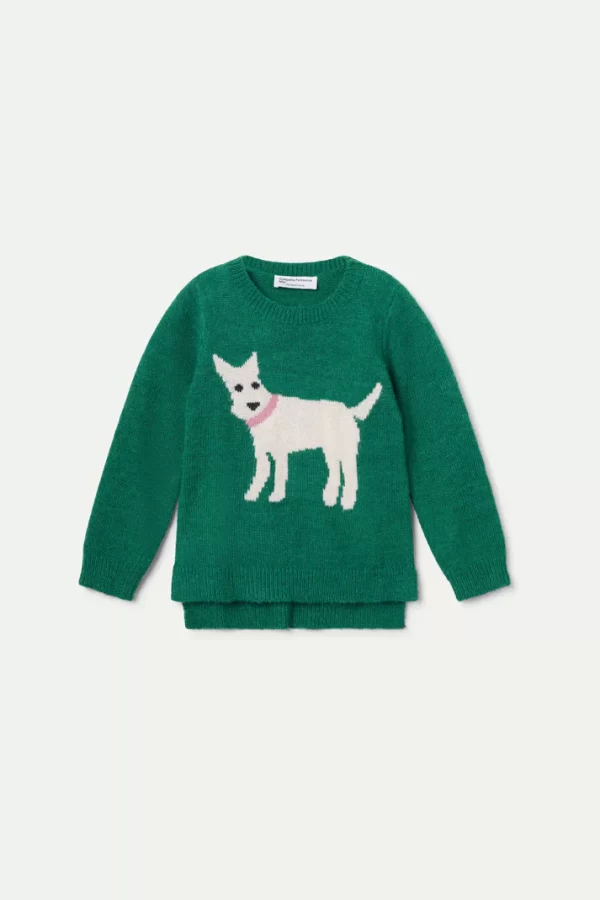 Sweater Dog