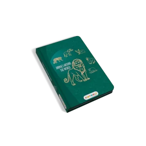 Kidydraw Mini