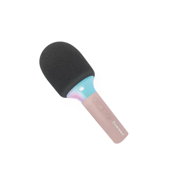 Kidymic Karaoke Microfoon